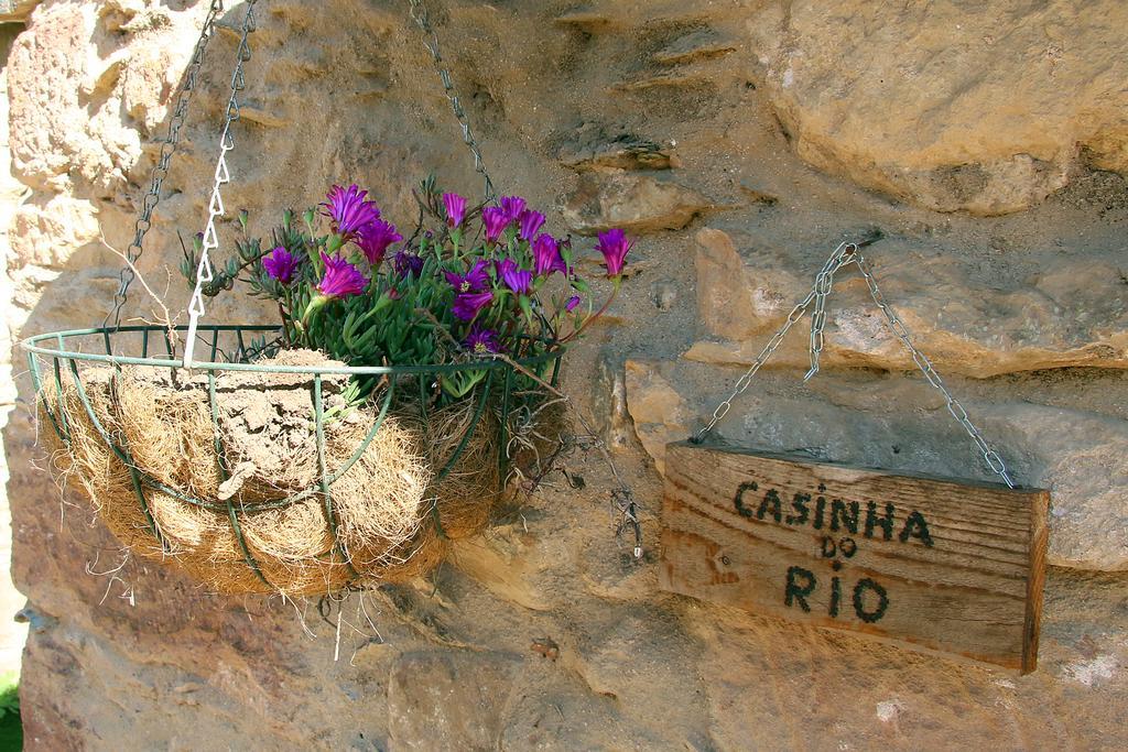 Sete Quintas Miranda do Corvo Exterior foto